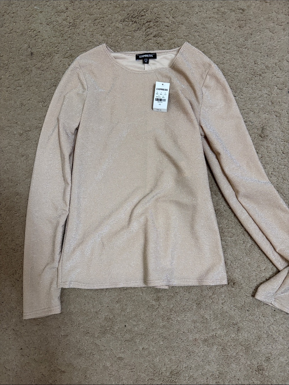 Express Women's Sparkle Crewneck Sweater in Light Cream